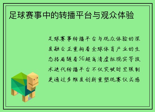 足球赛事中的转播平台与观众体验